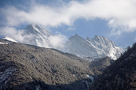 soi cau lo bach thu khung 3 ngay