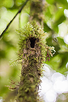 xsmb thu 7 hang tuan minh ngoc