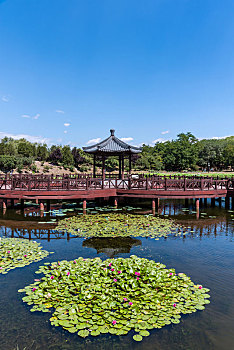 xsmb 100 ngày