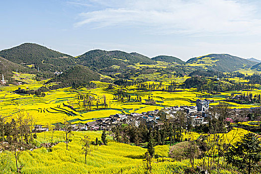 xổ số quảng bình hôm nay