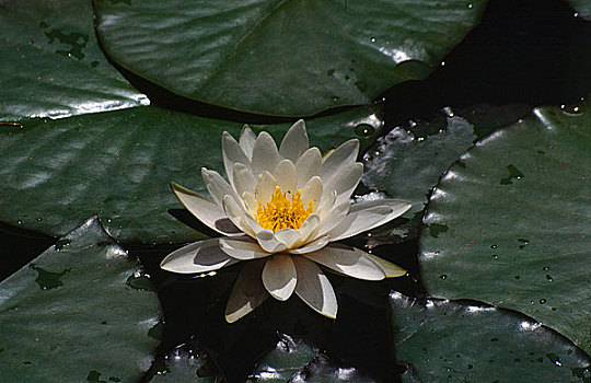 thống kê xsmb theo tuần