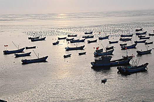 số bình dương