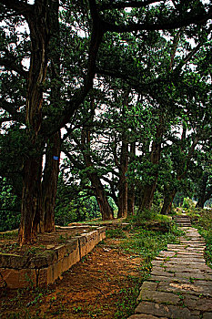 du doan xo so quang binh