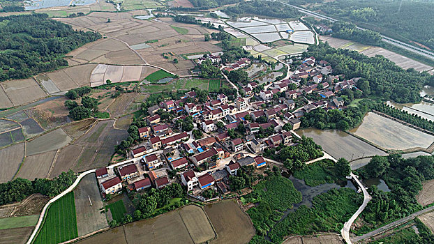 xs trà vinh