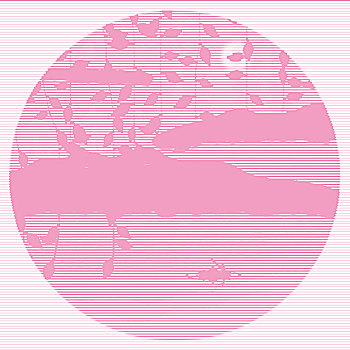 xsvl du doan