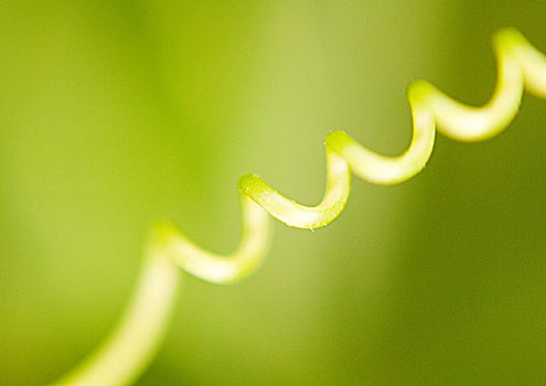 xổ số thứ ba