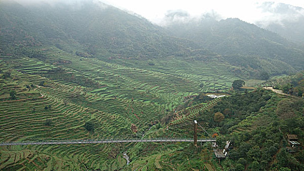 soi cầu miền nam wap