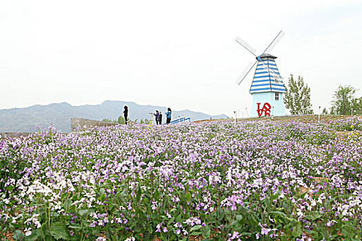 xsmn chủ nhật