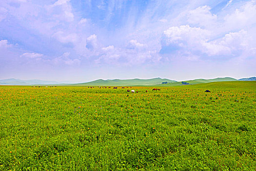 du doan minh ngoc