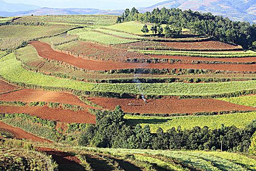 sổ kết quả 30 ngày