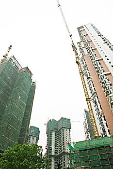 bach thu lo khung 5 ngay