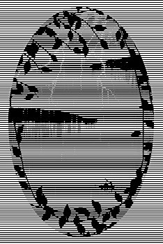 kqxs bình dương