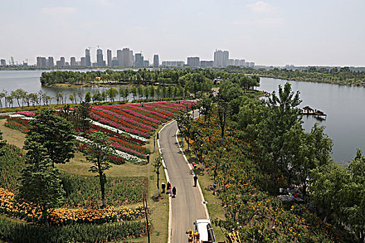 soi cầu bạch kim 666