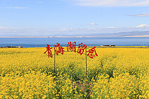 xsmn thu bay hang tuan