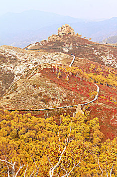 soi cau thang