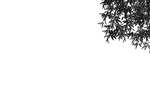 xổ số minh hải