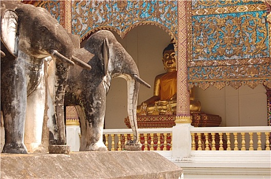 du đoan