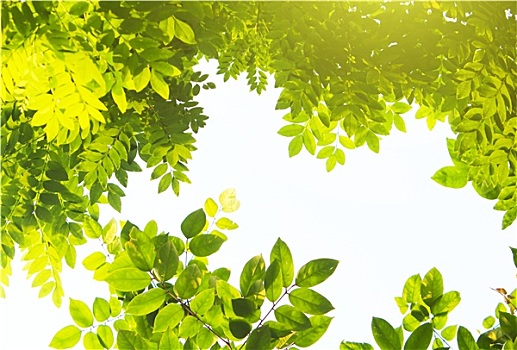 xổ số thứ bảy tuần rồi