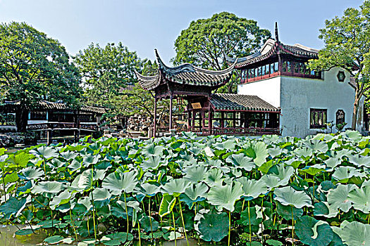 soi cau sieu chuan 24h