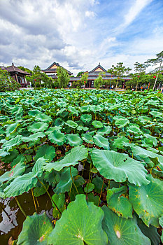 xổ số điện toán 123