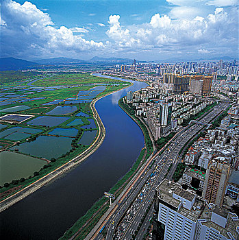 rong bach kim 88 99