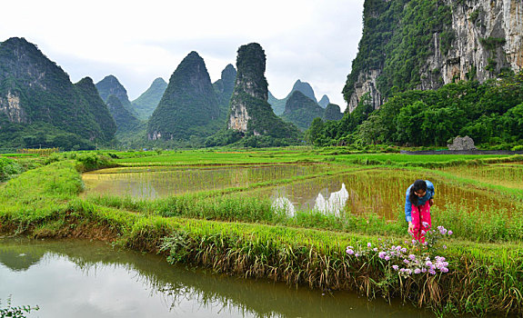 du doan kqxs quang nam