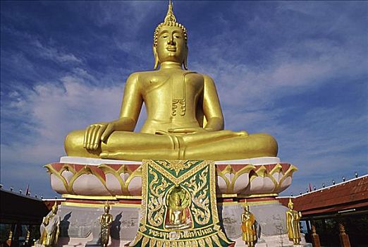 lo bạch thủ đẹp hôm nay