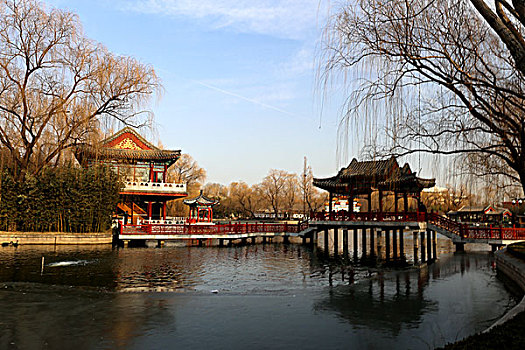 bach thu mien bac