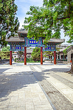 soi cau loto
