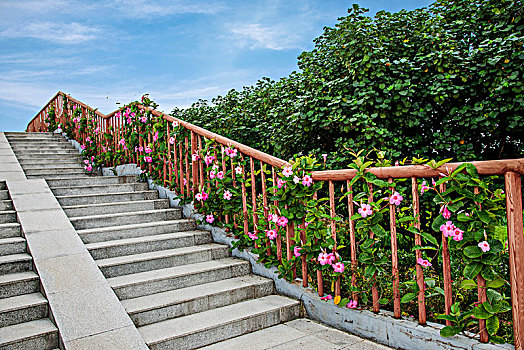 soi cau an thong