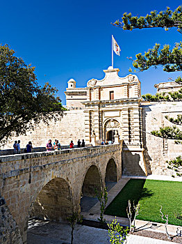 cau bach thu mien bac