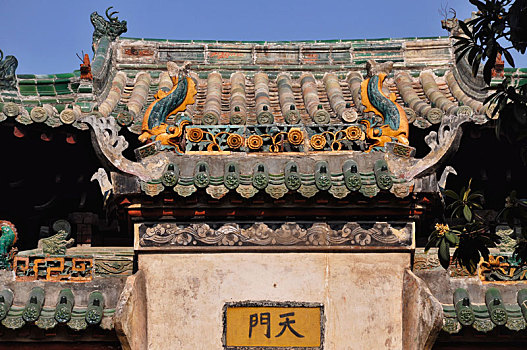 rong bạch kim 88