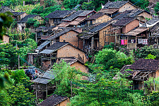 du doan mb rong bach kim