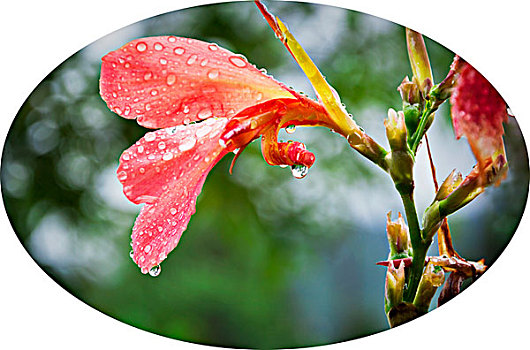 chơi lô đề