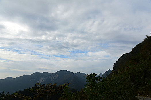 soi cau mien phi 2888