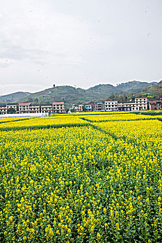 xổ số miền nam hàng ngày