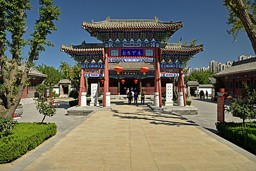 soi cau thong ke