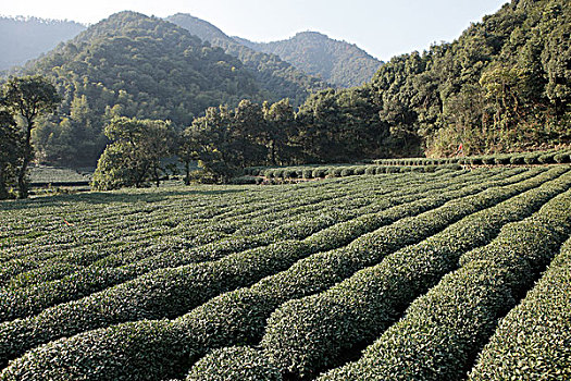 xổ số an giang tuần trước