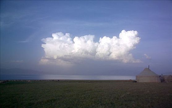soi câu lô