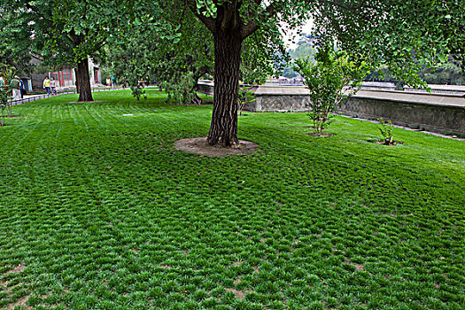 soi cầu thống kê