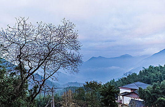 soi cau ba mien bac trung nam