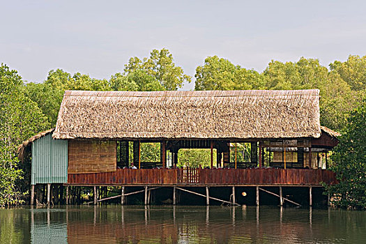 bạch thủ