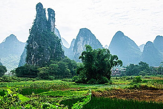 xổ số miền bắc bữa nay