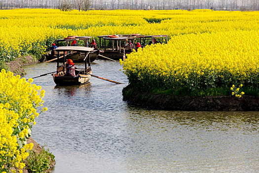 xsmn thứ 7