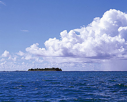 soi câu