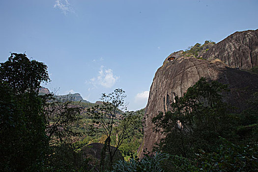 soi cầu betwin