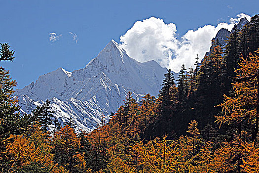 cầu đẹp 88