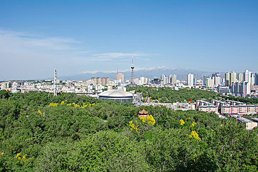 soi cau xs quang nam