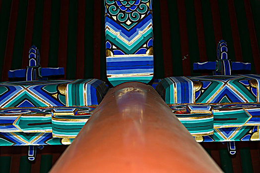 tuyet chieu soi cau