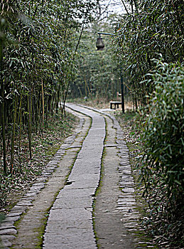 lo đề 88
